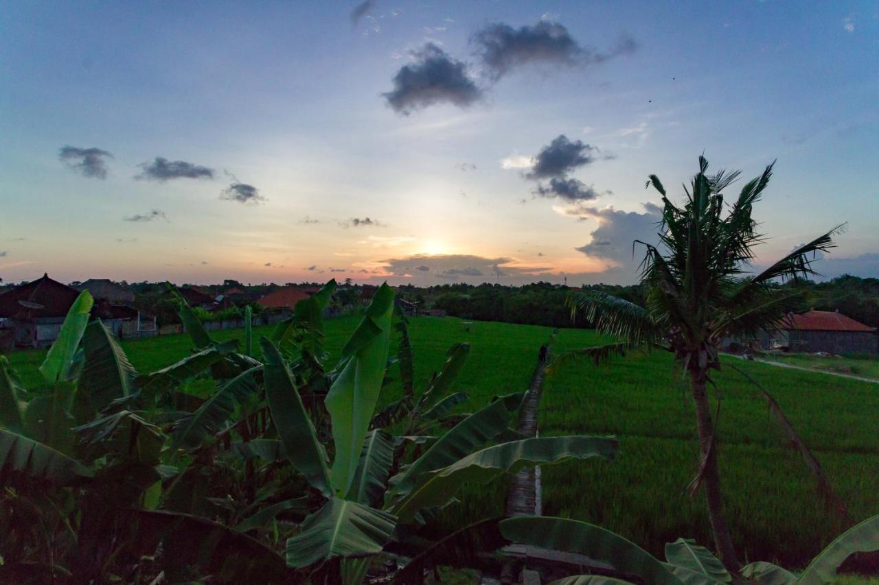 Samadi Bali Homes Canggu Zewnętrze zdjęcie